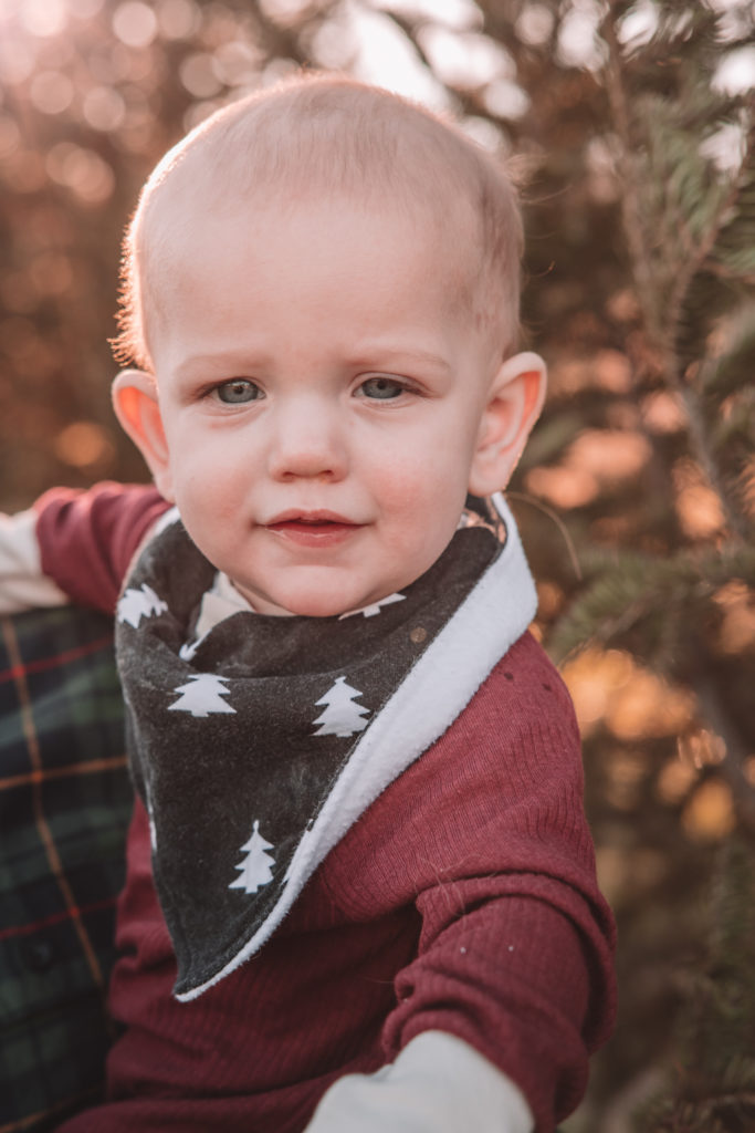 Mayer Family Christmas Tree Farm Pictures Cincinnati, Ohio Kristin Brown Photography